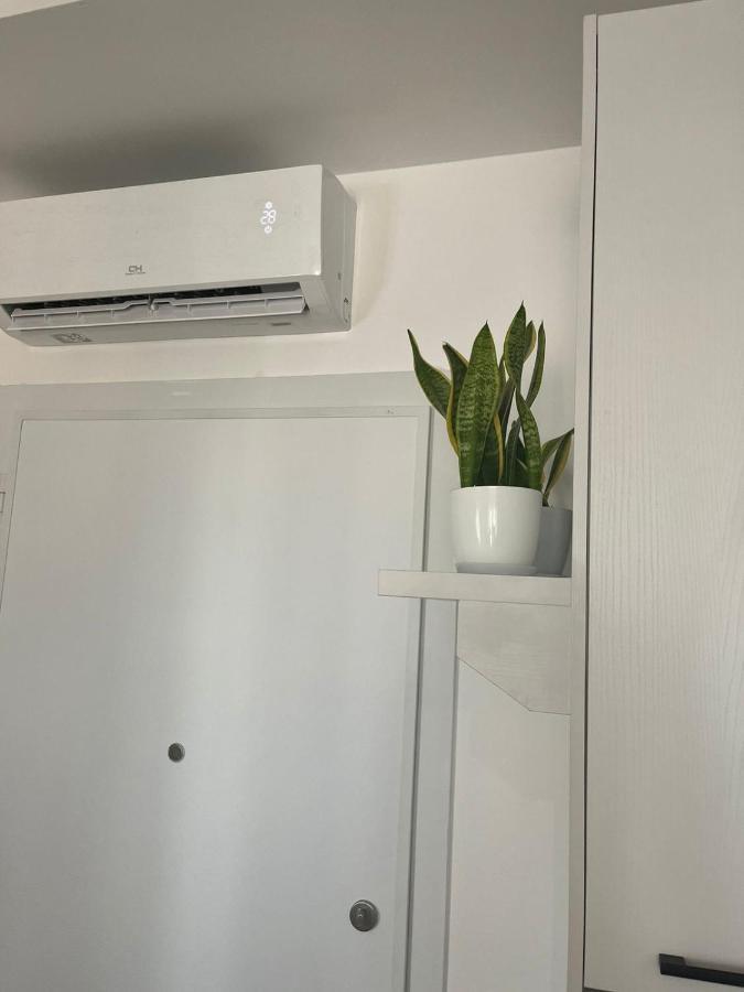 Comfy Nest Apartment- Free Parking Тирана Екстер'єр фото